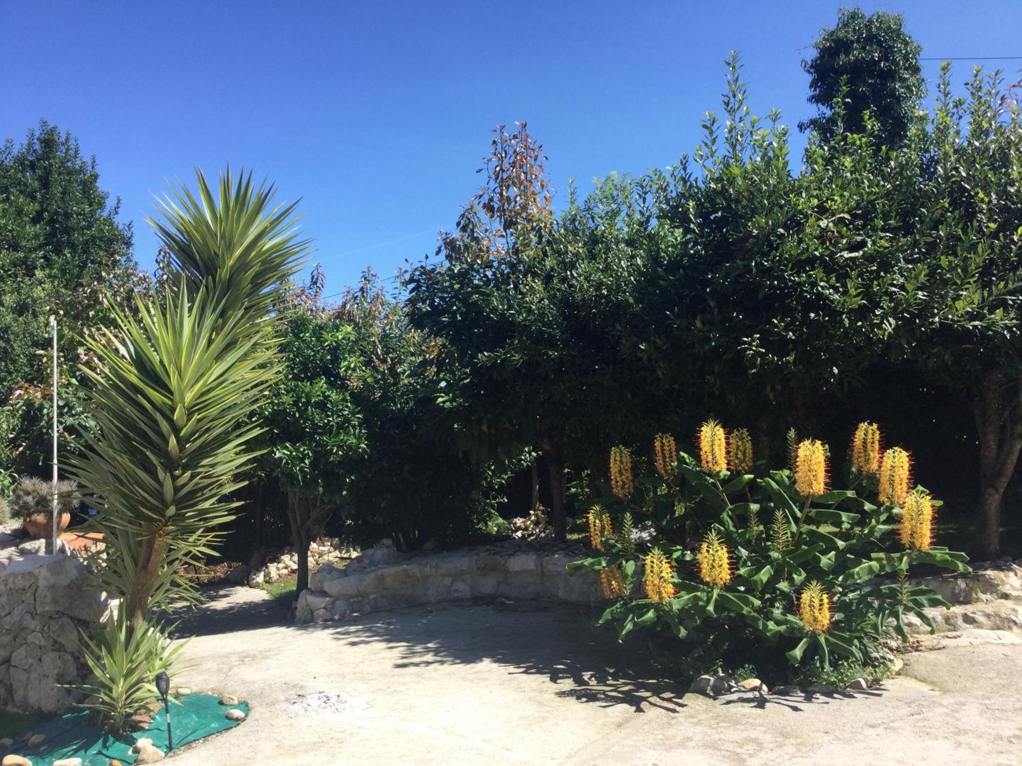Casa Jardin Rocablanca Llanes Villa เซโลริโอ ภายนอก รูปภาพ