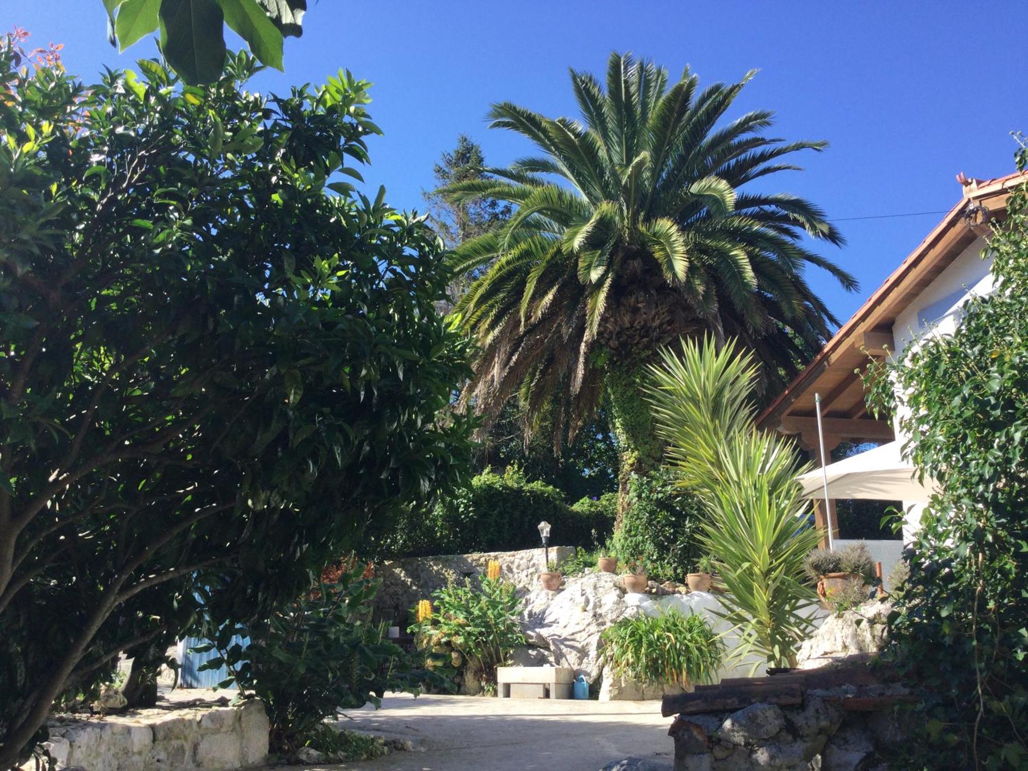 Casa Jardin Rocablanca Llanes Villa เซโลริโอ ภายนอก รูปภาพ