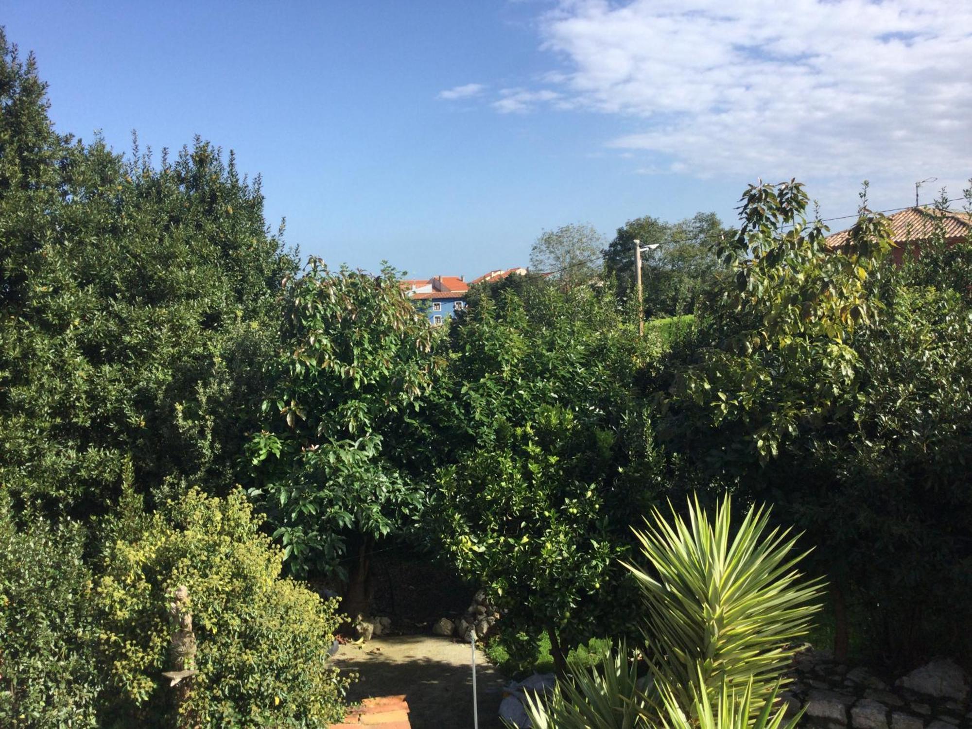 Casa Jardin Rocablanca Llanes Villa เซโลริโอ ภายนอก รูปภาพ